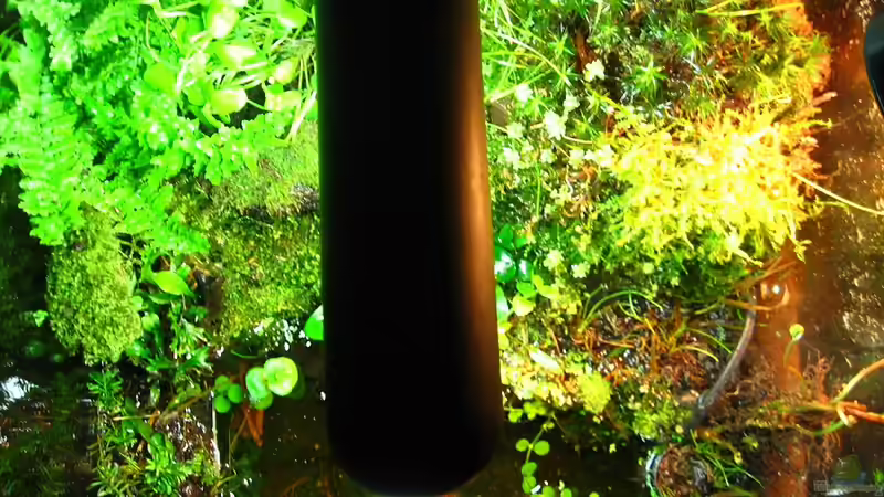 Beleuchtung, Vogelperspektive von Manni 13 (14)