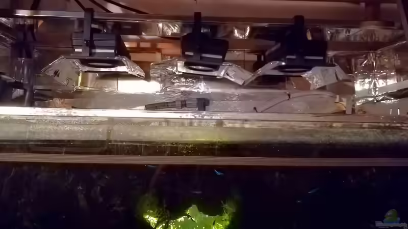 Beleuchtung  von Bermuda 3eck (40)