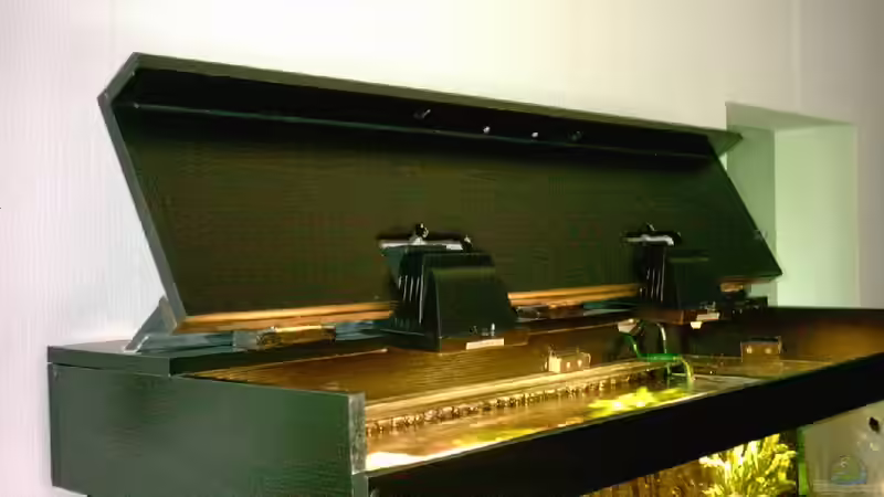 Beleuchtung  von Jürgen Baum (4)