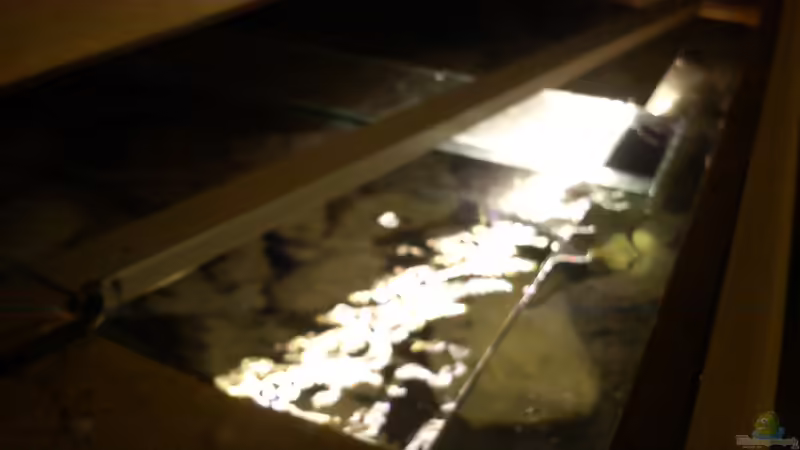 Beleuchtung:) von LaEy (61)