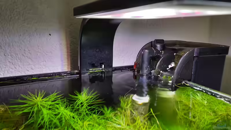 Beleuchtung  von Sandro (11)