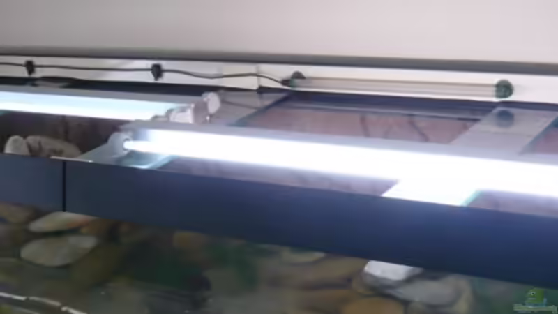 Beleuchtung 1 von wandervogel (15)