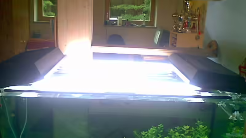 beleuchtung 2 * t5- 85 cm mit je 39 watt und 2 * t8-43,7cm mit je 15 watt = gesamt 108 watt beleuchtung - überall sind power-glo röhren verbaut !  von Bastian Linsenmeier (10)