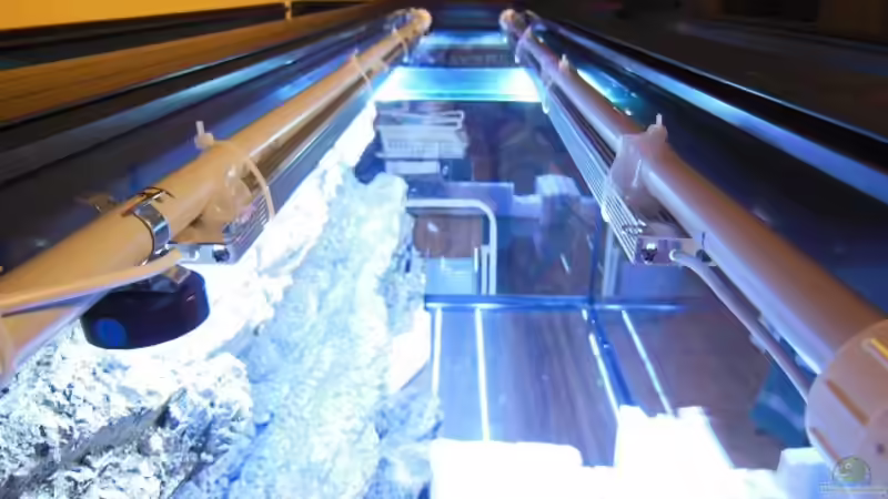 Beleuchtung 2 von tomwu (22)