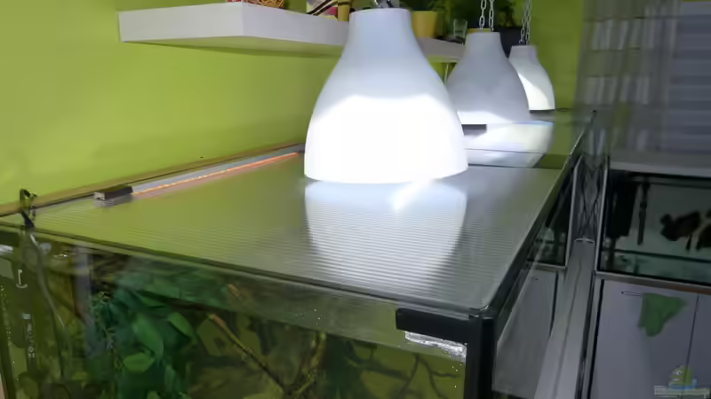 Beleuchtung 3 LED-Fluter 1x20W u. 2x10W + 2m LED-Leiste RGB für als ´Mondlicht´ von ~Marco~ (55)