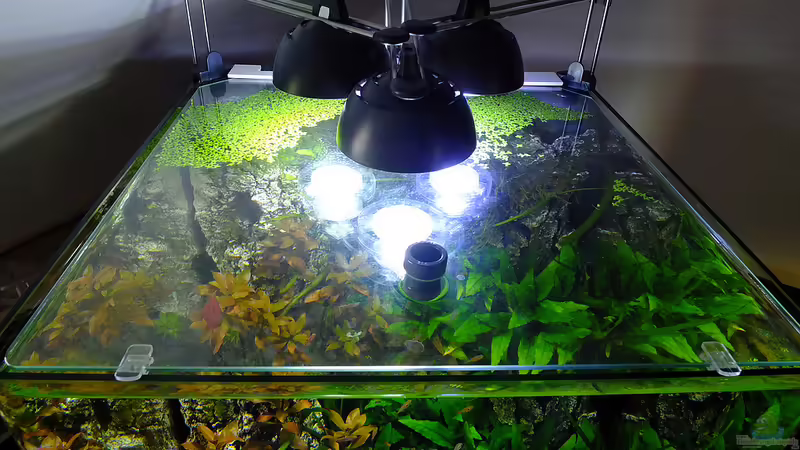 Beleuchtung 3 x 7W LED von avronaut (7)