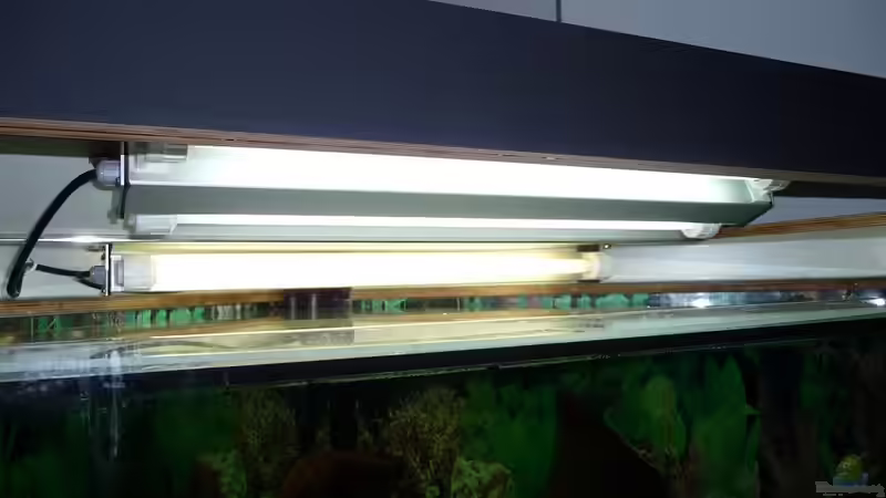 Beleuchtung 4 Leuchtstoffröhren T5 01 von mihä (24)