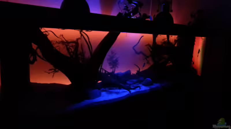 Beleuchtung ab 20 uhr und um 00 uhr schaltet sich das rote Licht aus von seb (22)