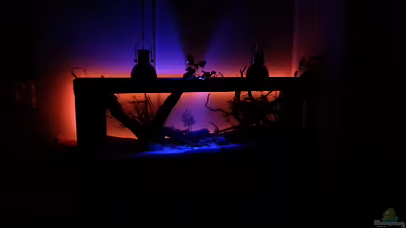 Beleuchtung ab 20 uhr und um 00 uhr schaltet sich das rote Licht aus von seb (23)