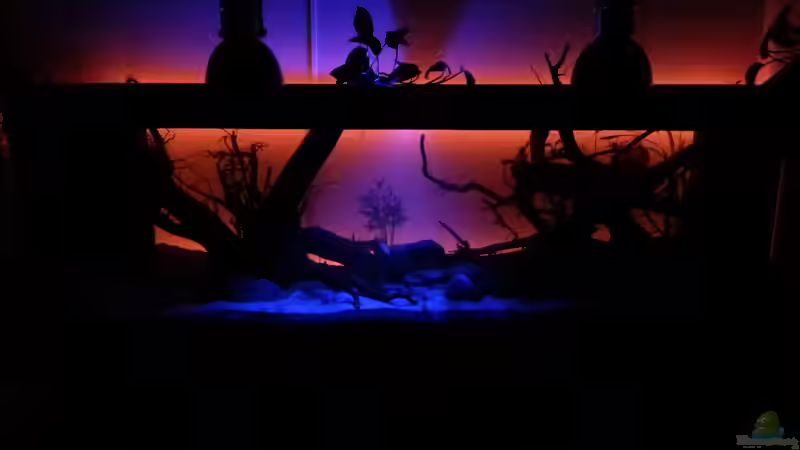 Beleuchtung ab 20 uhr und um 00 uhr schaltet sich das rote Licht aus von seb (24)