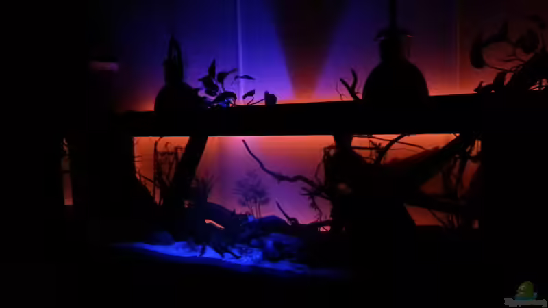 Beleuchtung ab 20 uhr und um 00 uhr schaltet sich das rote Licht aus von seb (26)