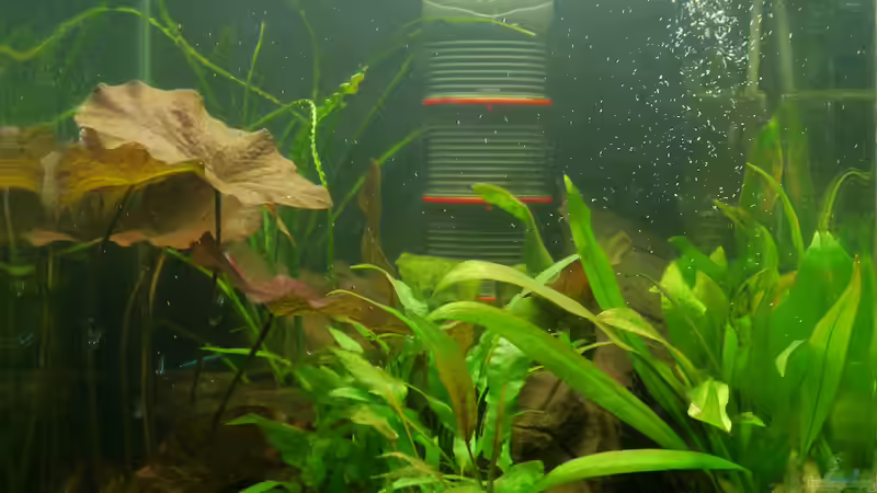 Beleuchtung am Mittag von Glückspirat82 (6)