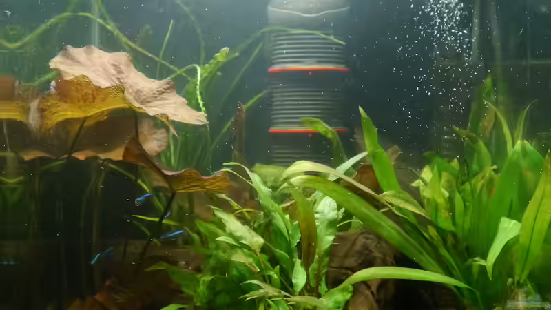 Beleuchtung am Vormittag von Glückspirat82 (5)