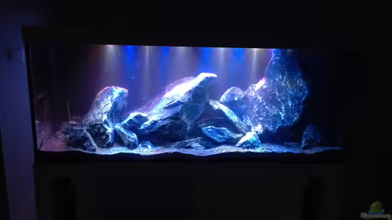 Beleuchtung bei ca 40 % von Mondamin (5)