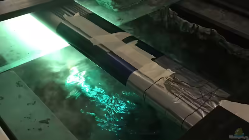 Beleuchtung bei Sonnenaufgang, Solar Stinger 70 Marine von skipper1202 (32)