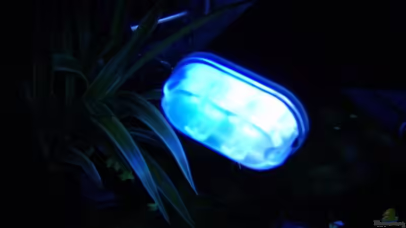 Beleuchtung blau/weiss 9000K von güni (4)