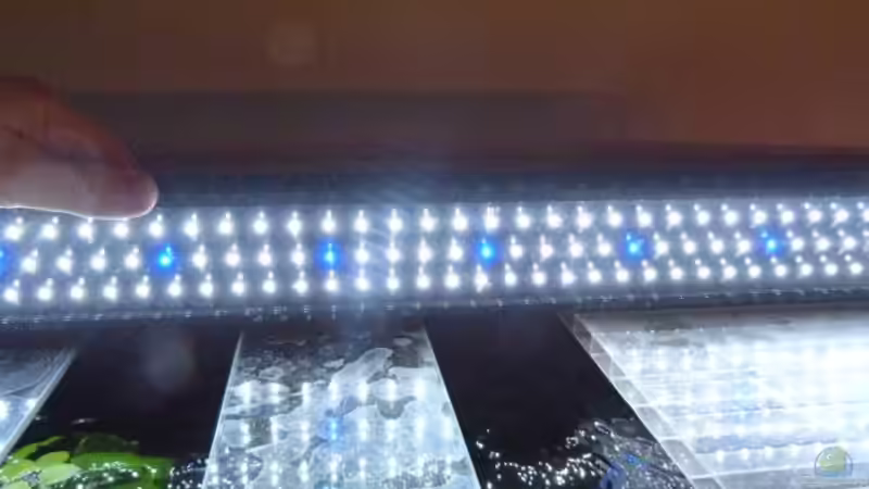 Beleuchtung blau/weiß von Carsten Peters (19)