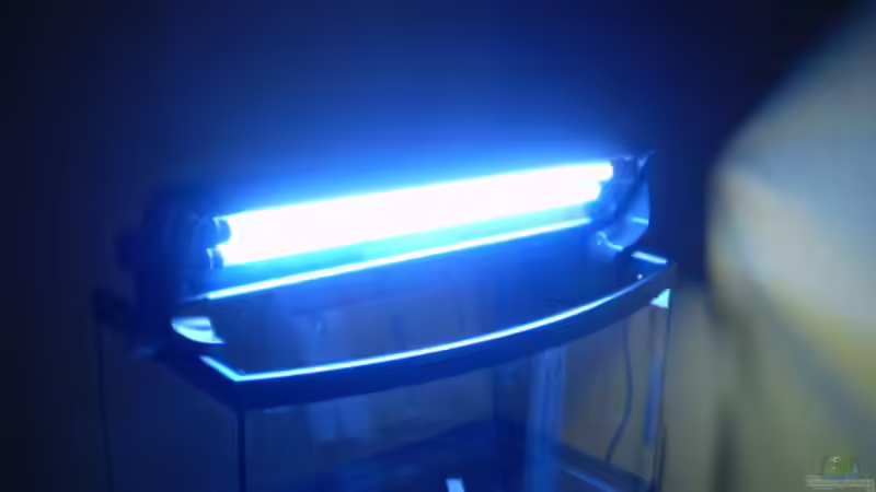 Beleuchtung durch 2x T5 Röhren von Sven K. (22)