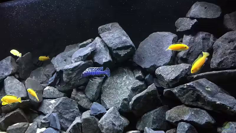 (Beleuchtung für Foto erhöht) von Philipp Böhme (22)