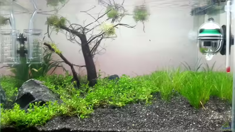 Beleuchtung in den Abendstunden von Schnegge (6)