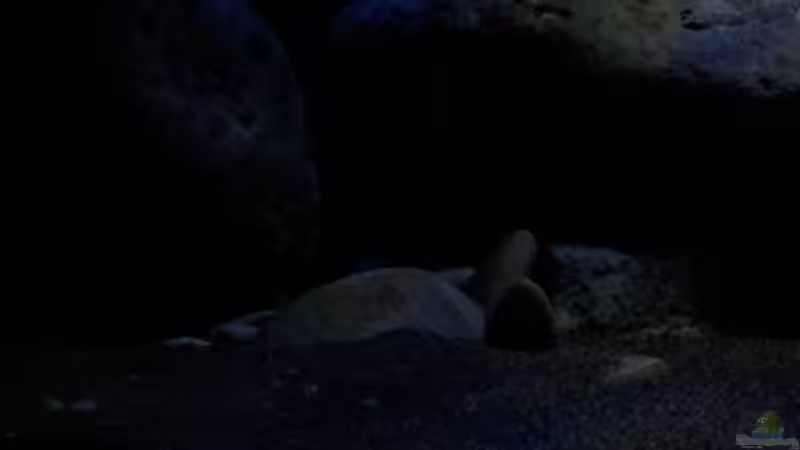 Beleuchtung in der Dämmerungsphase von ollil81 (16)