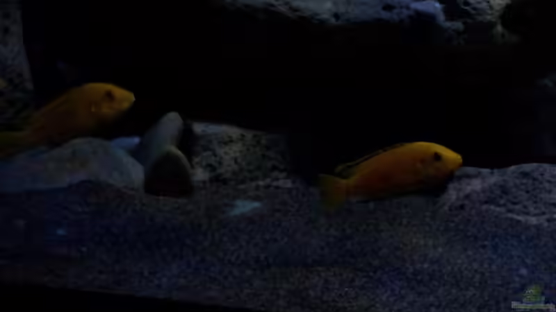 Beleuchtung in der Dämmerungsphase von ollil81 (18)