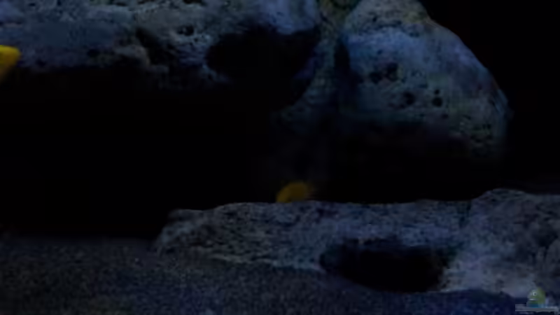 Beleuchtung in der Dämmerungsphase von ollil81 (19)