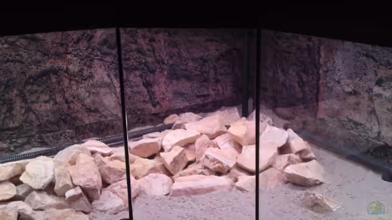 Beleuchtung in der Ecke ein RGB-LED-Balken von 825 mm, reicht da völlig aus. von GGuardiaNN (78)