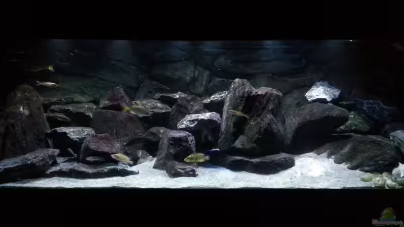 Beleuchtung ist jetzt bei ca.70%,heller wird es nicht mehr. von Bitman (11)