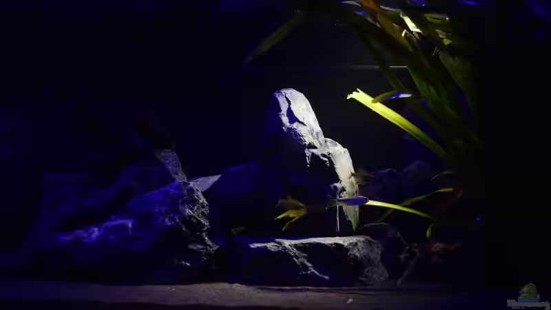 Beleuchtung mit 6,5 Watt Philips und Mondlicht von Bowa (10)