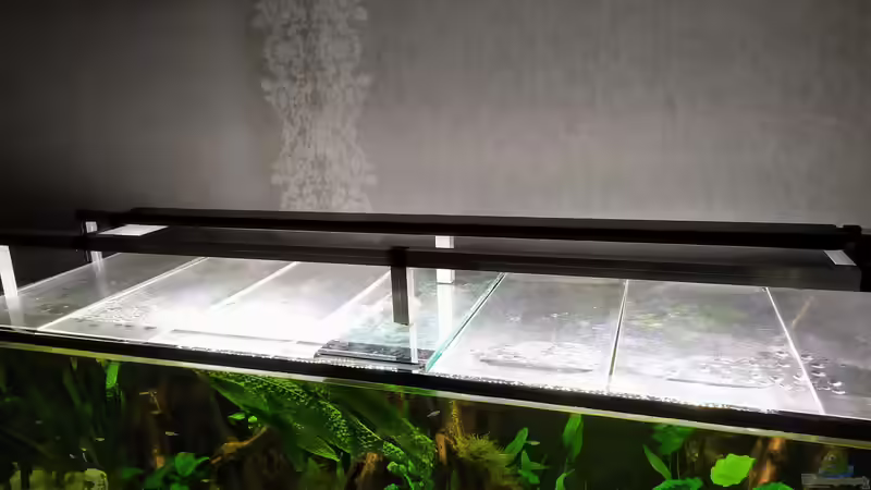 Beleuchtung mit Alu-Tragrahmen von vauen (11)