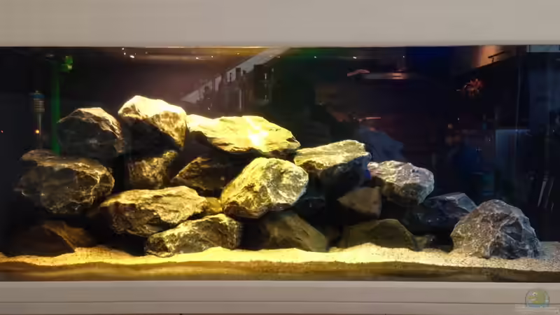 Beleuchtung mit Farbfilterfolie von Kunx (6)