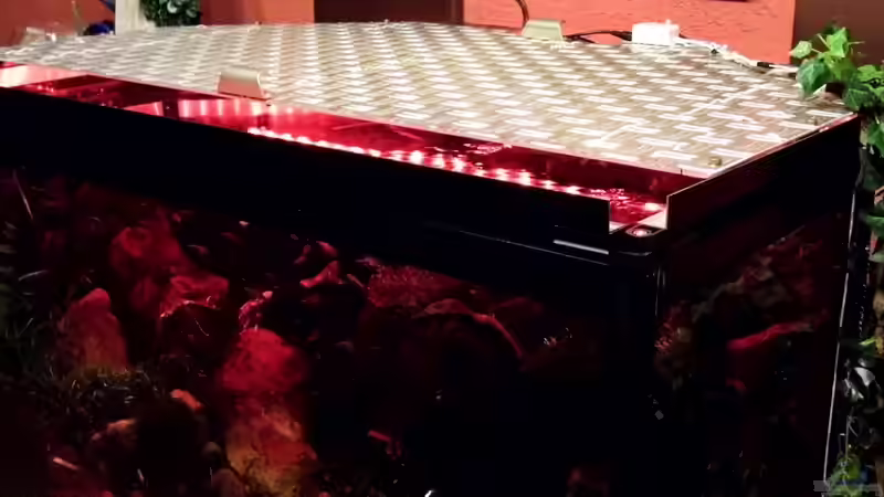 Beleuchtung mit Led-Stripes ( nicht mehr in Betrieb) von snooze (57)