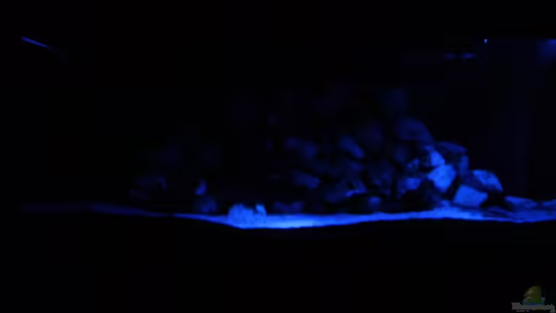 Beleuchtung mit Moonlight von Anubis (2)