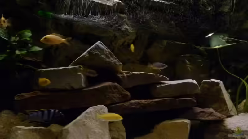 Beleuchtung nach einbau Tageslichtsimulator von Malawi-Freunde (8)