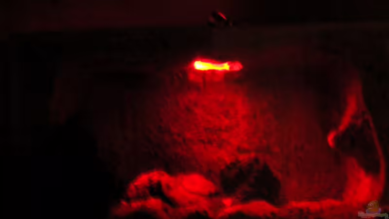 Beleuchtung nachts von Falk (6)