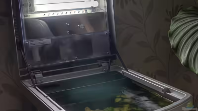 Beleuchtung (noch mit dem Standartstarter) von RaykoM (3)