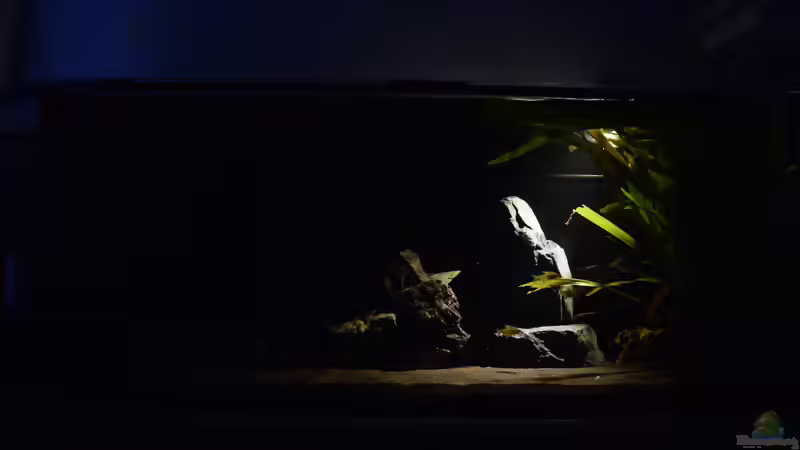 Beleuchtung nur mit 6,5 Watt Philips von Bowa (8)