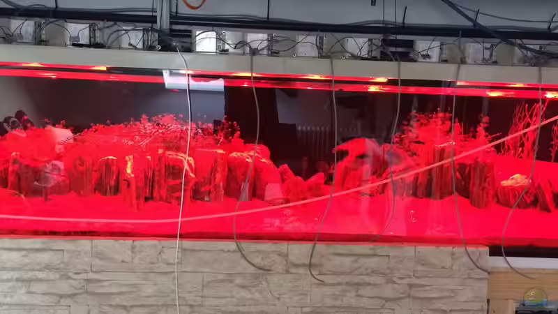 Beleuchtung nur Rot eingeschaltet von Torsten G. (17)