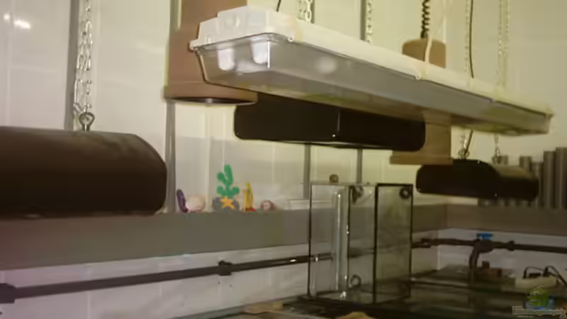 Beleuchtung Schaubecken von Bernd Niehoff (24)