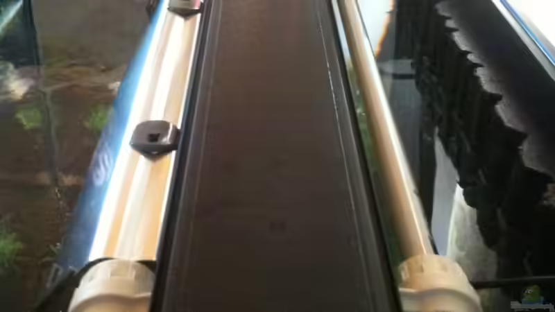 Beleuchtung T5 von oben mit Refelktor Solar 40 (2012-12-29) von Mario Bösch (12)