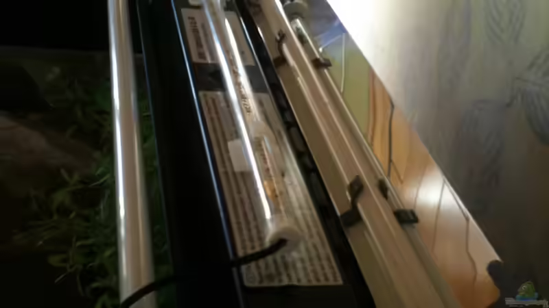 Beleuchtung T5 von unten mit Refelktor Solar 40 und Nachtlicht blau (2012-12-29) von Mario Bösch (13)