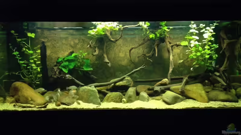 Beleuchtung über 2 T5 54W von Thomas S-H (6)