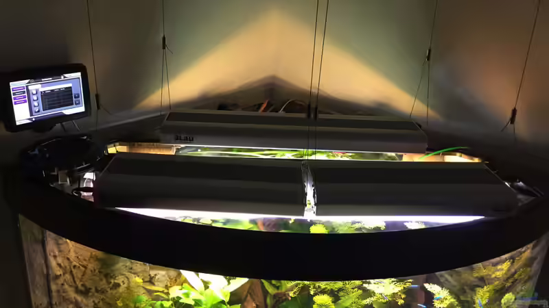 Beleuchtung und Controller von Diedelsen (10)