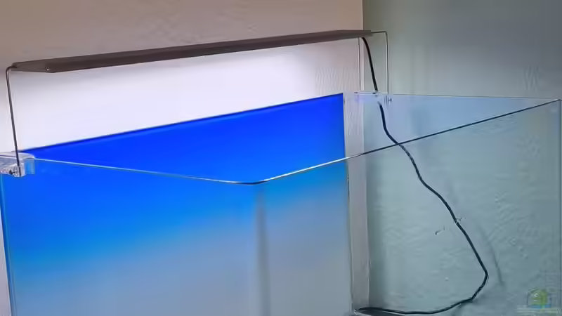 Beleuchtung und leeres Blau Aquarium von David Schneider Aquaristik (19)