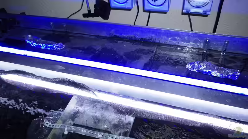 Beleuchtung und unter den kleinen Abdeckungen ist das Mondlich von Michael Boeck (41)