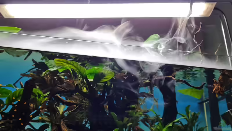 Beleuchtung und Vernebler von David Schneider Aquaristik (17)