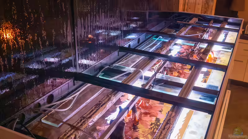 Beleuchtung und Wäremrückgewinnung von DiskusMummy (31)