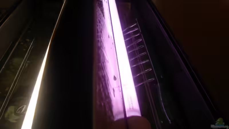 Beleuchtung von aquaman29 (9)