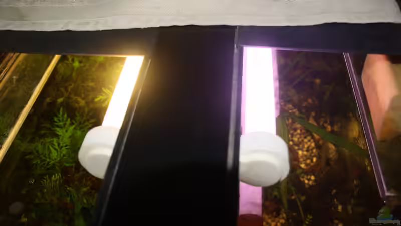 Beleuchtung von aquamike (14)